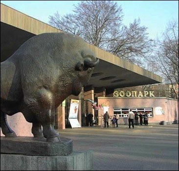 Попов рассмотрит вопрос об увольнении директора зоопарка сразу после завершения работы комиссии. Фото с сайта: http://www.bagnet.org/