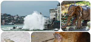 О чем писали крымские блогеры на этой неделе