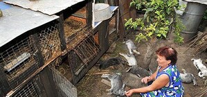 Запорожье терроризирует загадочная 