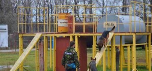 В Харькове собаки-иностранцы искали заблудившихся и спасали из-под завалов