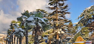 От 550 до 2900 гривен: какие туры и программы предлагают на Новый год 2014 в Крыму