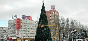 Главную елку Донецка начнут собирать уже 1 декабря