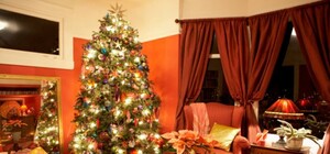 Сколько стоит снять квартиру на Новый год в Харькове: советы и цены