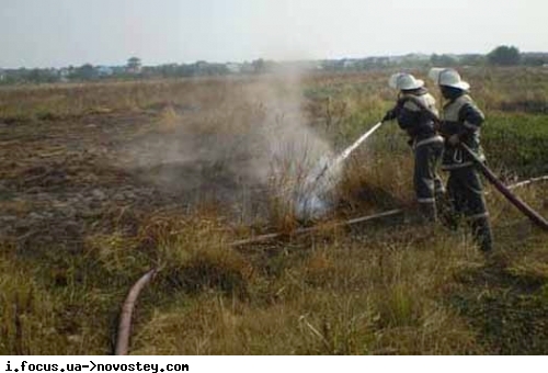 Пожарные пытаются полностью ликвидировать тление торфяников, но пока справиться с этой задачей не удается. Фото с сайта novostey.com