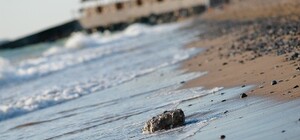 Экологи взбунтовались против строительства огромного китайского порта на западе Крыма