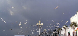 Крым зимой: какие достопримечательности посетить на Новый год 2014