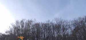 За выходные на горнолыжных склонах в Крыму пострадали 10 человек