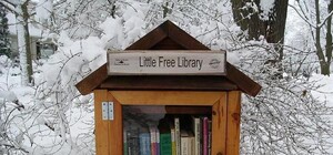 На улицах города появятся бесплатные мини-библиотеки