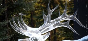 Уже завтра: в 