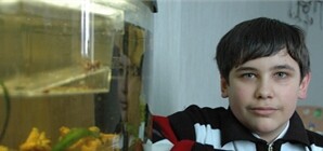 Донецкий вундеркинд, поразивший канадцев, не сможет учиться в Украине