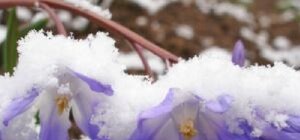 В Луганск возвращаются морозы