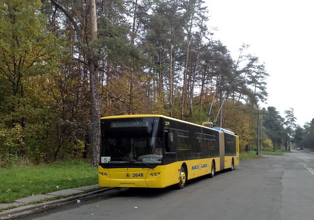 "Киевпасстранс" выплатил компенсацию пассажирке. Фото с сайта transportglobus.info