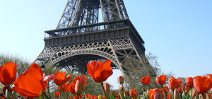 В Киеве пройдет фестиваль 