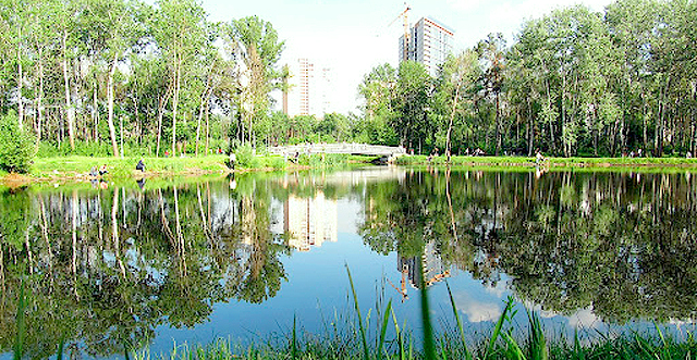 В Парке "Победа" завтра будут чистить озеро. Фото с сайта tsn.ua.