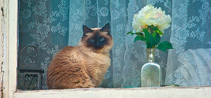 Погода в Донецке: в городе пасмурно