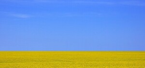 Радуемся, дончане: 10 позитивных событий этой недели