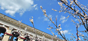 Справедливость восторжествовала: что теперь будет с Гостиным двором