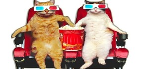 Три фильма за одну ночь: выигрывай билеты на 