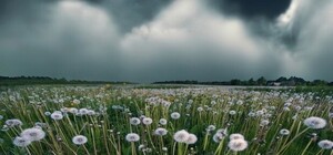 В Донецке пасмурно: погода на 23 мая