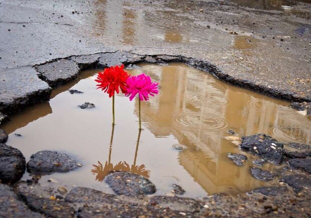 На ямы на дорогах можно жаловаться онлайн. Фото с сайта www.trust.ua