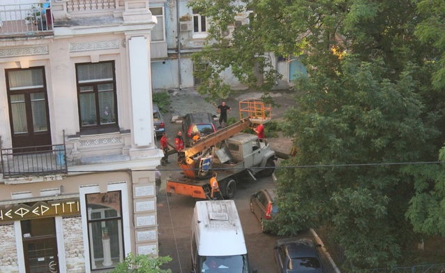Новость - События - Фотофакт: в центре Киева на два авто упало дерево
