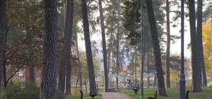 В парке Партизанской славы снесли кафе