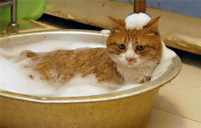 Если нет горячей воды - жалуйтесь. Фото с сайта liveinternet.ru