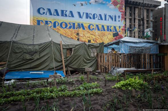 На Майдане есть огород, а из Киевсовета активисты переехали в комфортабельный отель "Днепр". Фото Ильи Варламова, zyalt.livejournal.com