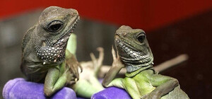 Пятница 13-е: На каких вечеринках сегодня необходимо побывать