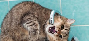 Два микрорайона Одессы останутся без воды