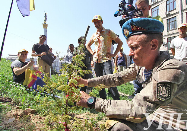Новость - События - На Майдане посадили дерево мира