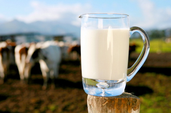 На Певческом поле пройдет День молока. Фото с сайта naturalist.if.ua