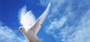 Священники с небес помолятся за мир в Украине