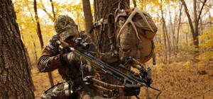 Робин Гуда вызывали: В городе пройдут 