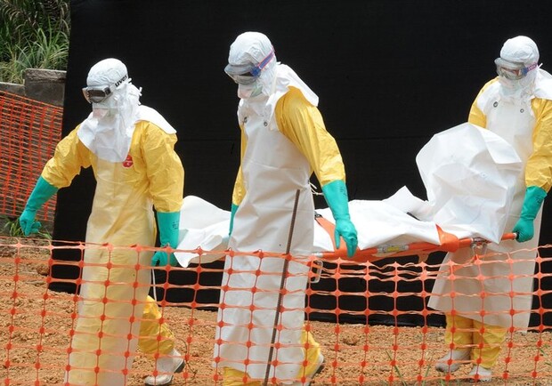 Новость - События - На вокзалах и в аэропортах  усилили меры безопасности из-за вируса Эбола