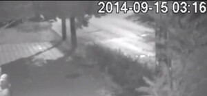 В Сети появилось видео, как ночью со здания Меджлиса срывают украинский флаг