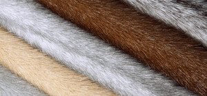 Из Харькова в Турцию вывезли нелегальной норки на 6,5 миллионов гривен