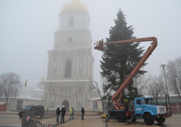 Новость - События - На Софийской площади уже красуется главная елочка страны. ФОТО