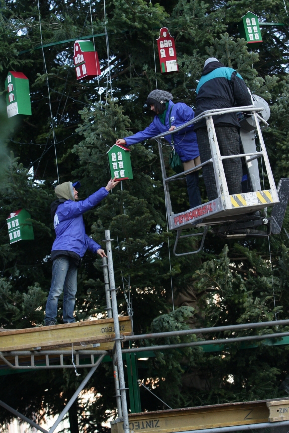Новость - Досуг и еда - Фотофакт: на Софиевской площади начали украшать елку