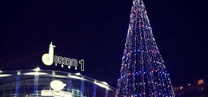 Приходи посмотреть: когда зажгут главную елку на Оболони