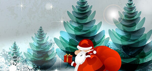 Сколько стоит заказать Деда Мороза и Снегурочку на Новый год