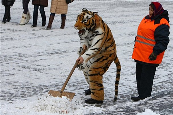 Фото с сайта www.prevedko.org.ua.