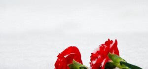 Фотофакт: дончане несут цветы на остановку, которую вчера расстреляли