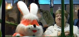 ЗМІ: щоб їздити безкоштовно у львівському транспорті, треба знати пароль