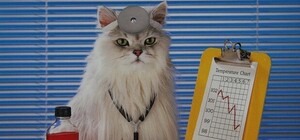 Захворів - сиди вдома: Львівщина на порозі епідемії