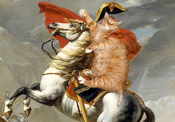 Новость - События - Шутки кончились: новый глава ГСЧС будет бороться с жирными котами