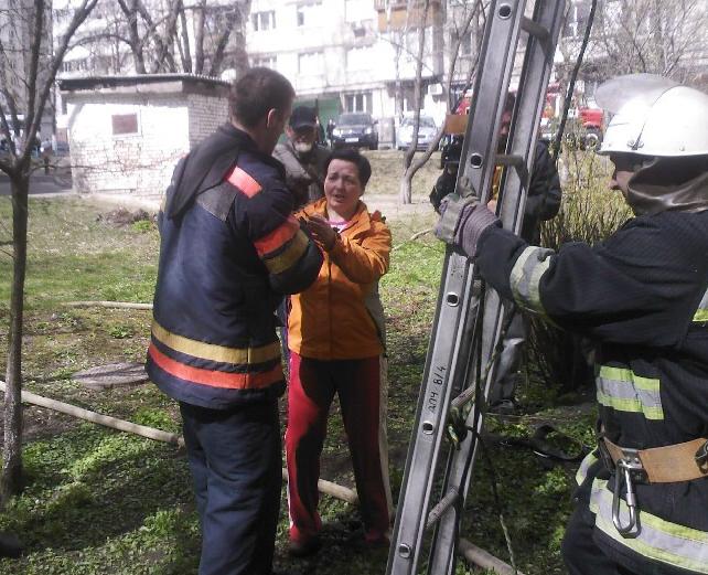 Новость - События - На Голосеево пожарные вытащили из огня котика