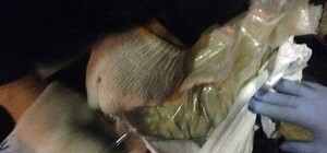 Транзит под видом соли: в Одесском порту нашли 146 кг героина