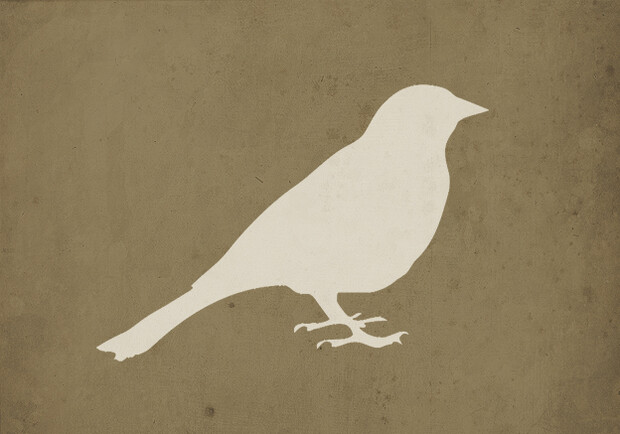 Новость - События - Получи ответ: что делают с птичками, которые залетели на станцию метро
