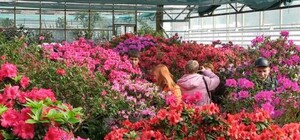 У неділю в Ботанічному саду ЛНУ ім. І. Франка – День відкритих дверей